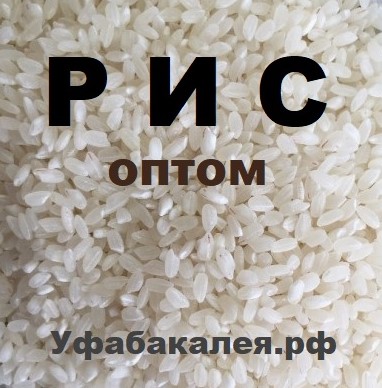 Поставка риса