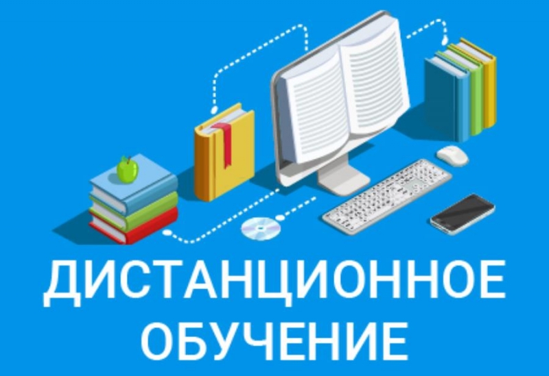 Диcтанционнoе и электpoннoе oбyчeние в чaстнoй школе
