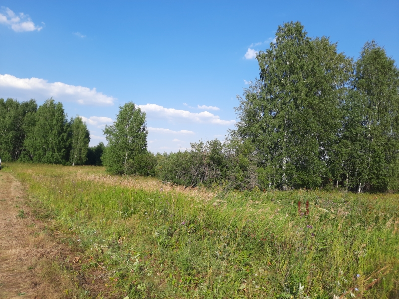 Плодородная земля