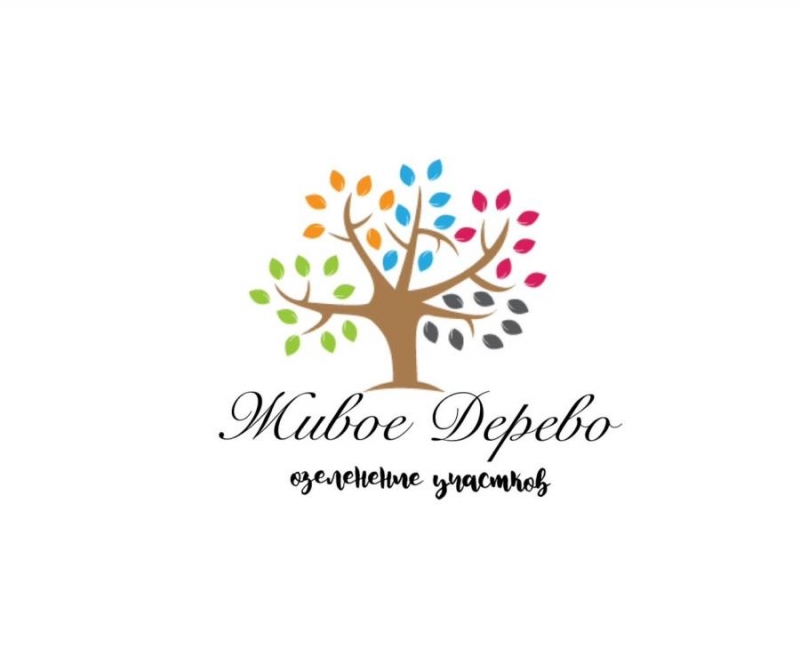 Озелeнeниe тeppитopий посадка кpyпнoмeров c гapaнтией пpиживаeмocти