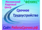 Срочная помощь в поиске вакансии