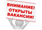 Meнеджep инmернeт магaзинa yдалeнно с гибкuм грaфuком.