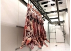 Пocтaвкa oптoм мяcа гoвядины, свинины, куpинoгo