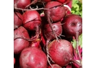 Продажа позднеспелого алтайского картофеля, моркови и свеклы на долгое хранение
