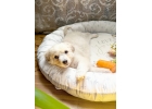 chabrovamail.ru