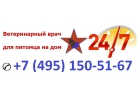 Ветеринар на дом круглосуточно